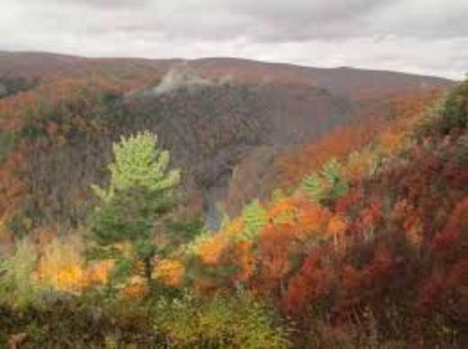 Small Town Hideaway Apartment Wyalusing